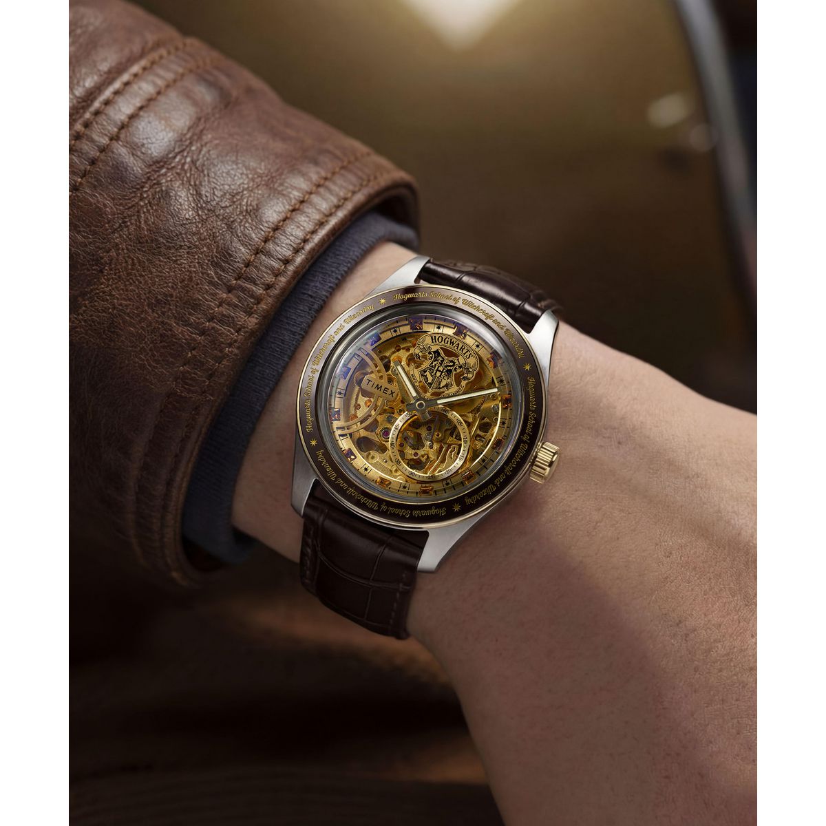 ⌚ Timex x Harry Potter Waterbury Skeleton Automatic