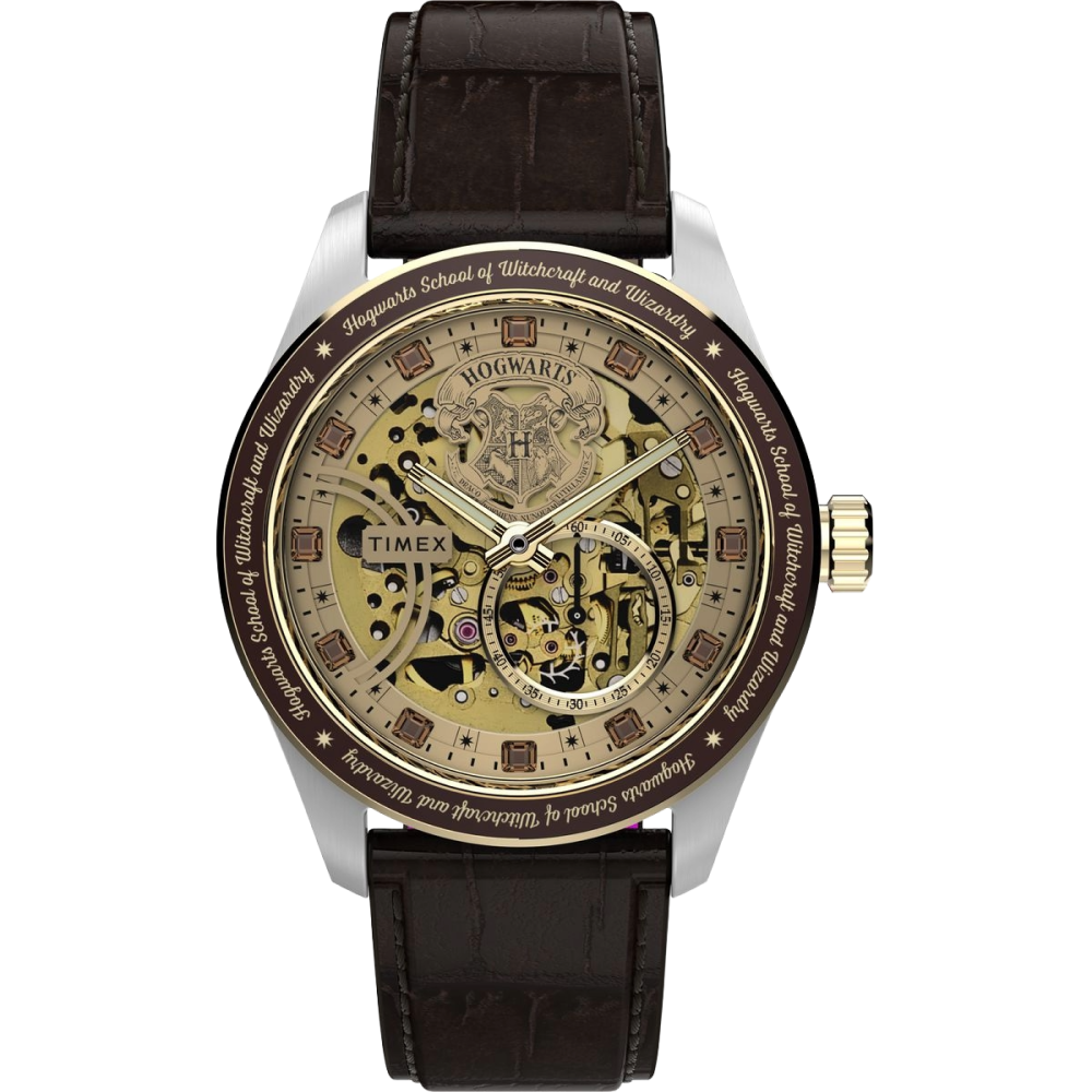 ⌚ Timex x Harry Potter Waterbury Skeleton Automatic
